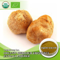 Bulk-supply Organic Lion's Mane Mushroom Powder Hericium Erinaceus Lion's Mane Extract